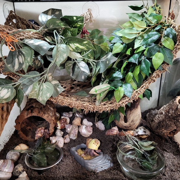 PLSreadBEFOREbuying! - Picture 13 of 16